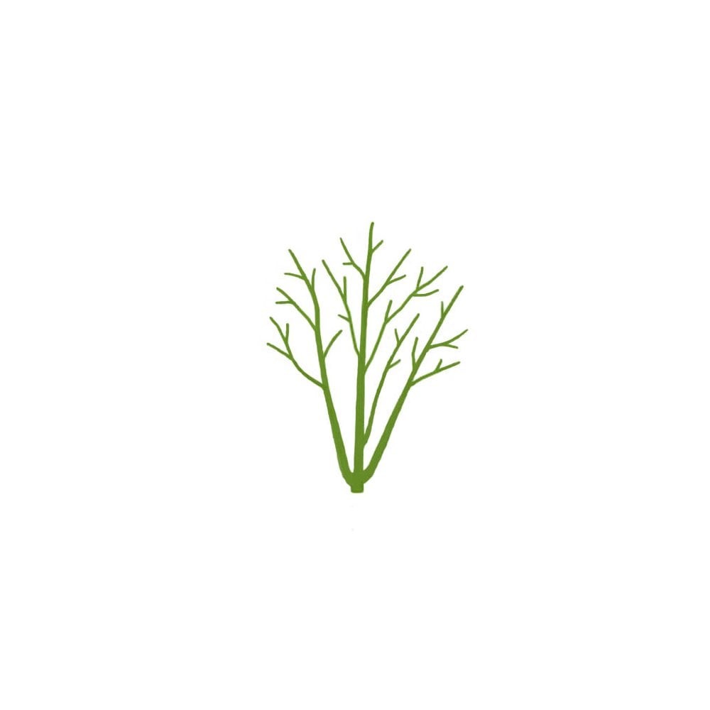 Multi stem tree silhouette