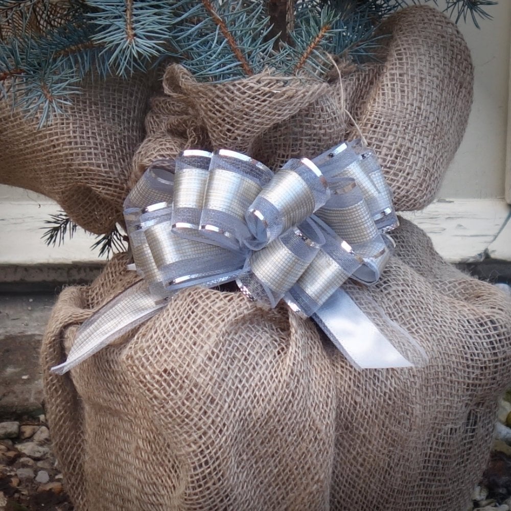 Gift Wrap Any Tree or Shrub - Custom Gift Tree