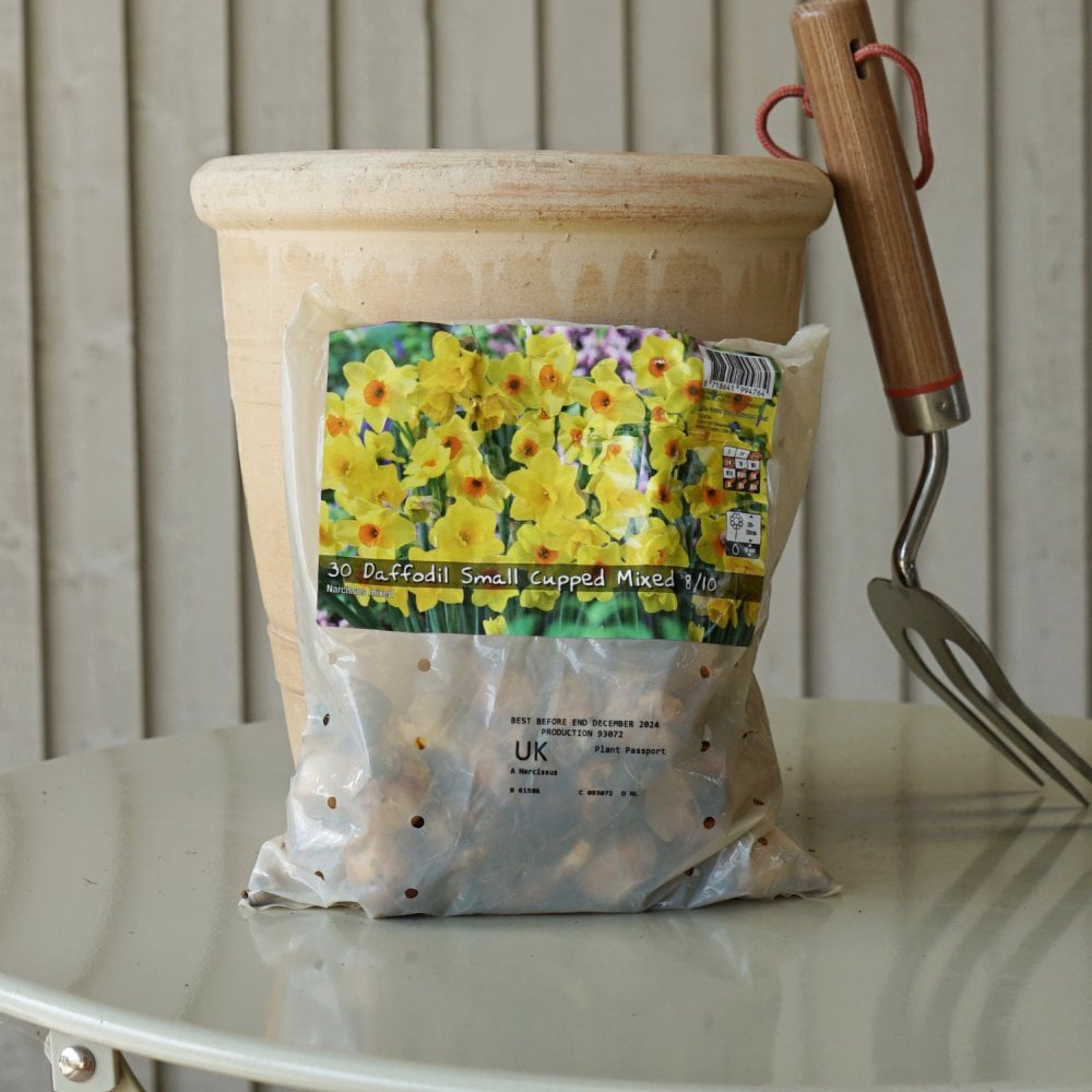Daffodil Small Cupped Bulb Mix
