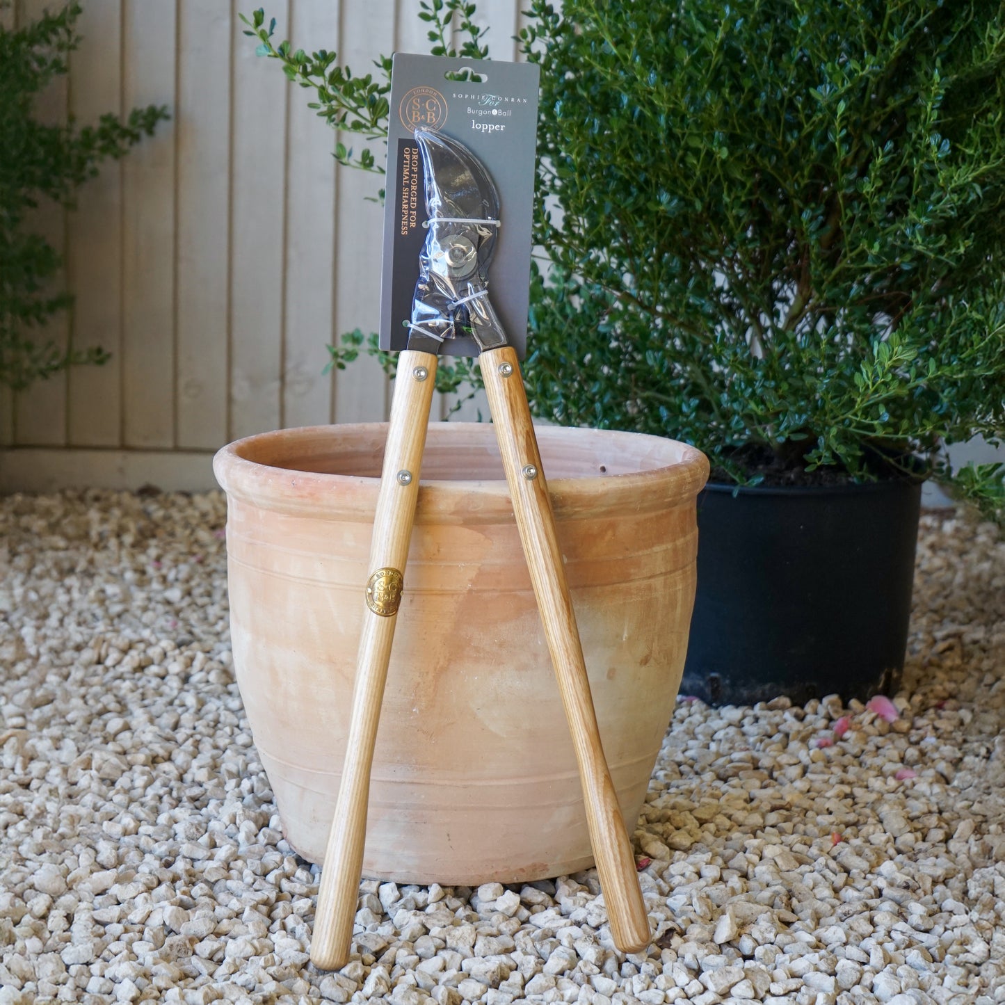 Sophie Conran Lopper