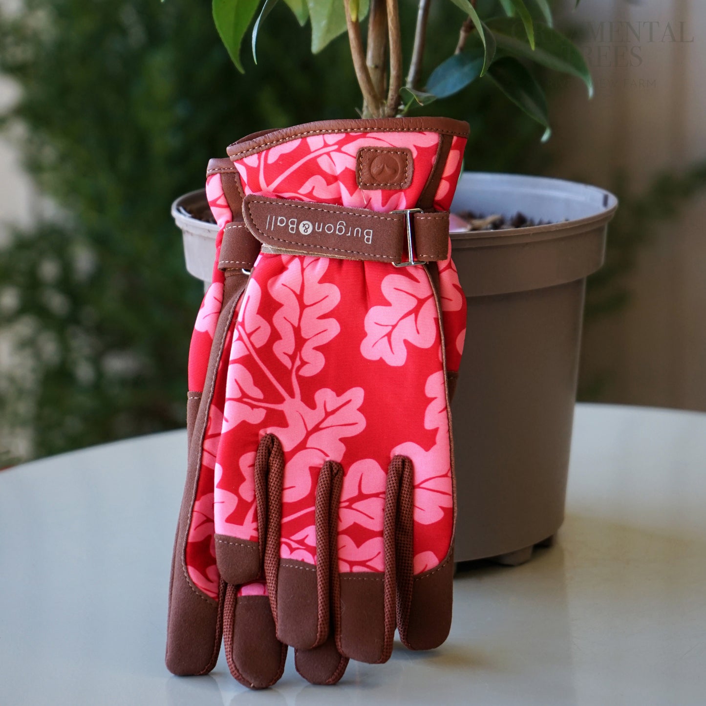 Burgon and Ball Poppy red gloves