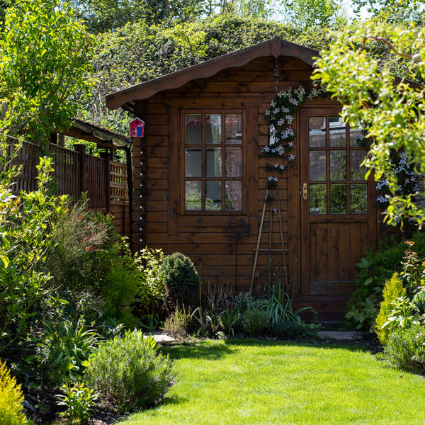 Small garden with trees, shrubs and shed