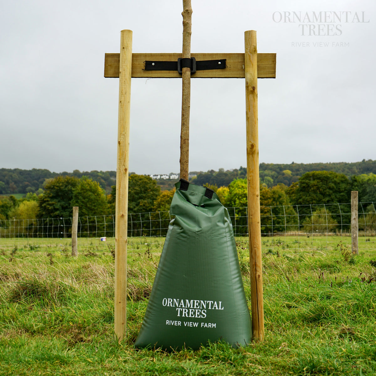 Tree Watering Bag