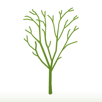 Dogwood tree silhouette