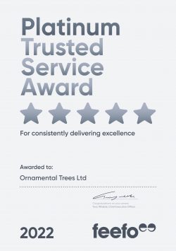 Platinum Trusted Service Award