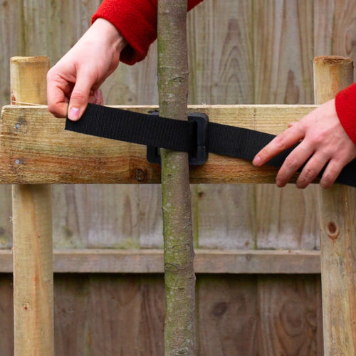 Fastening a tree tie