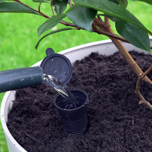 Filling a container irrigation kit