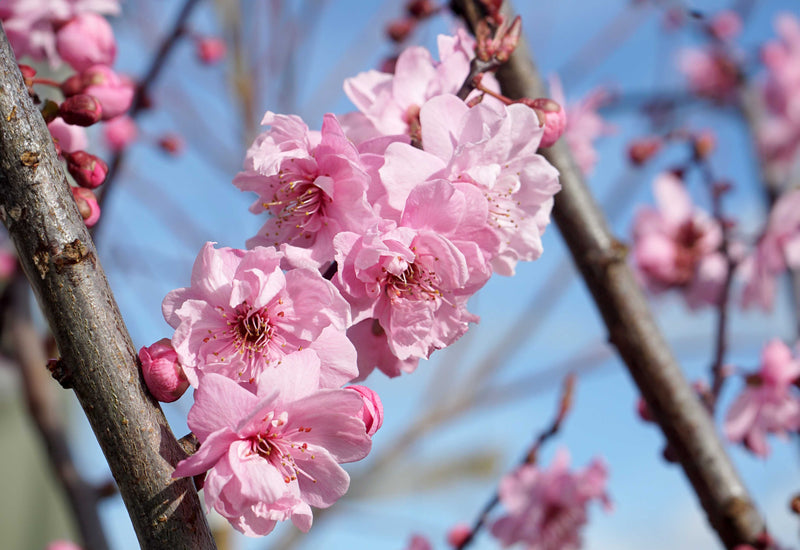Hello Spring! 🌤️ Discover Gardening Jobs for March