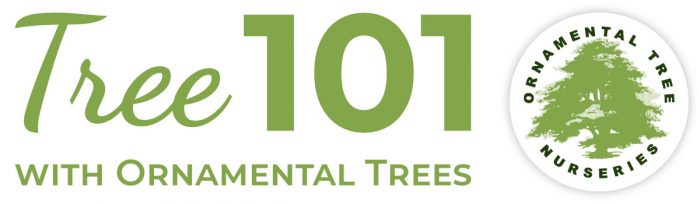 Tree 101 with Ornamental Trees