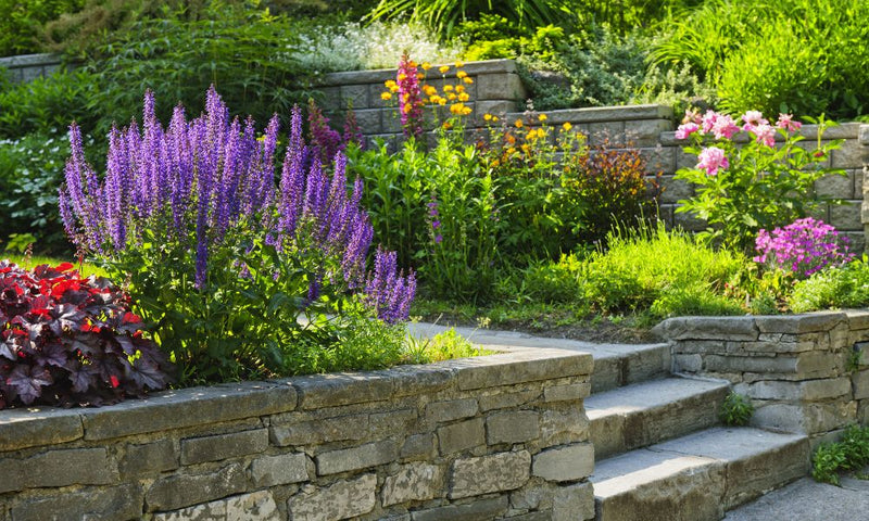 Beautiful flowering garden for April gardening jobs blog