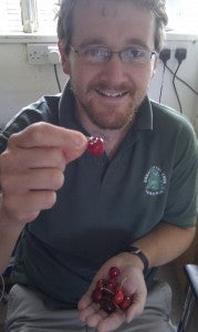 Holding up cherries to the camera
