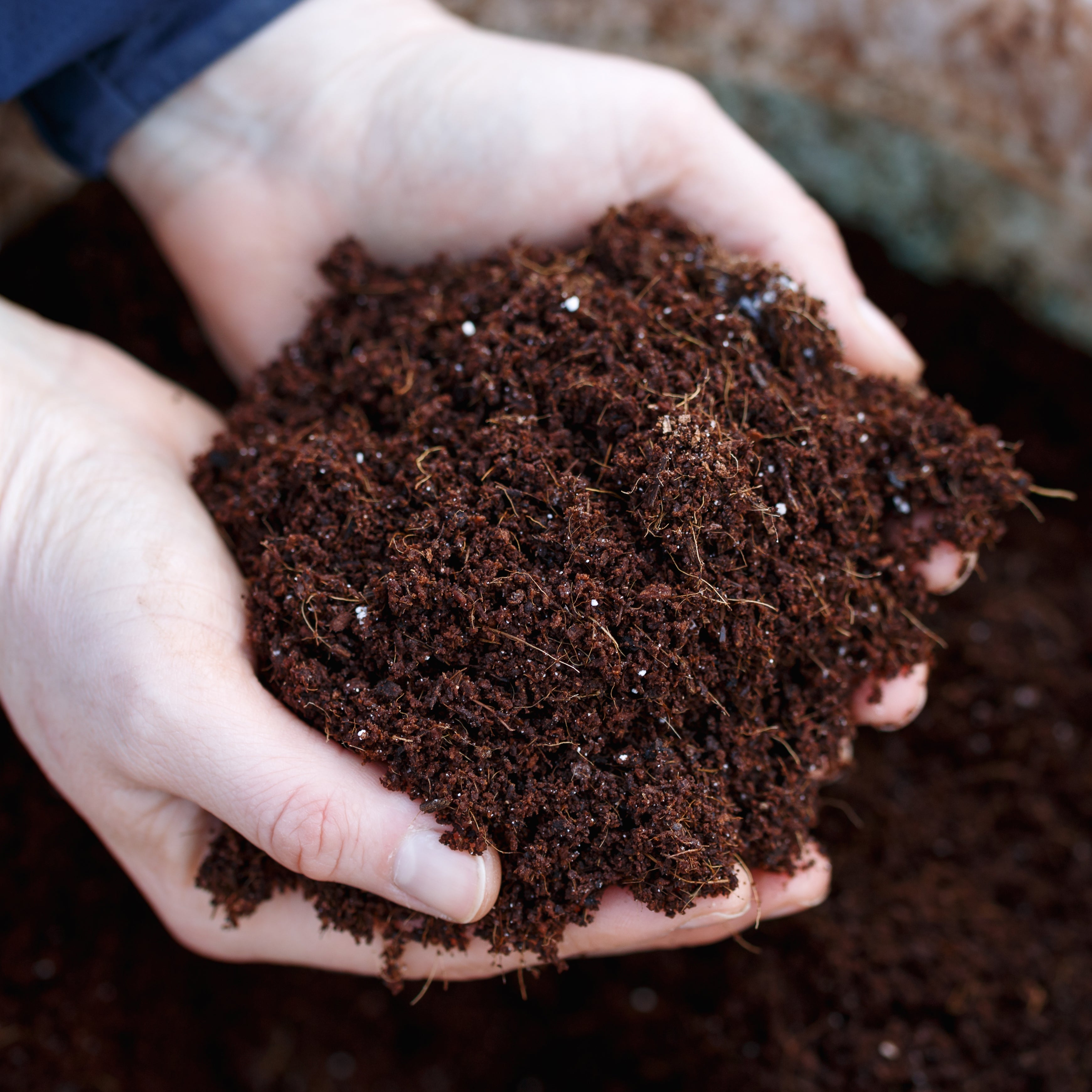 Tree Composting Compost | Peat-Free Composts For Trees & Shrubs | Ornamental Trees