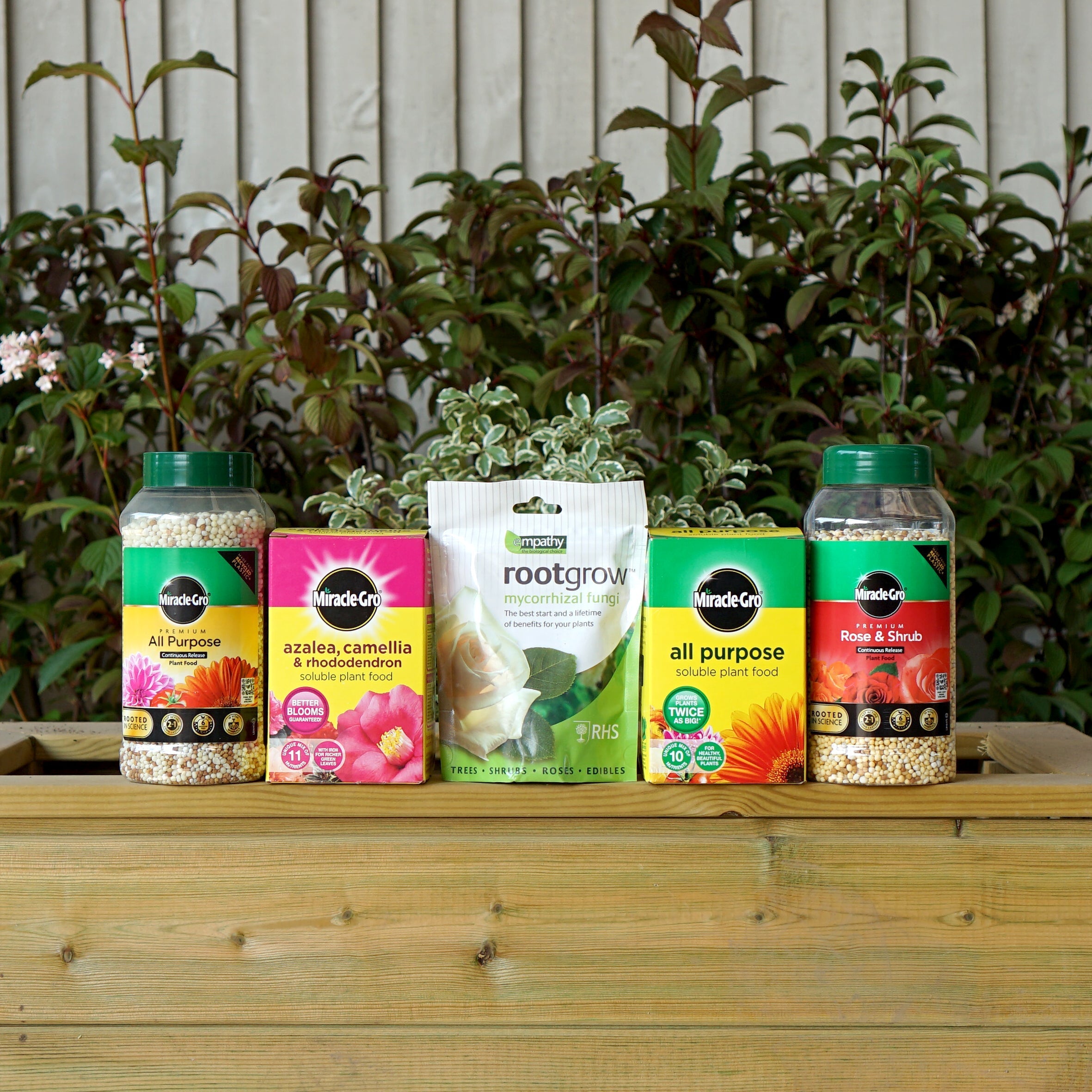 Tree & Shrub Planting Essentials | Ornamental Trees
