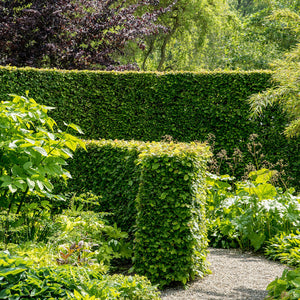 Hedging