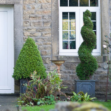 Decorative topiary trees in pots by front door