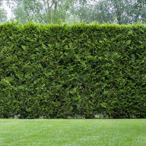 Instant hedging trough
