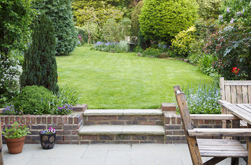 Small Garden Tree Offers