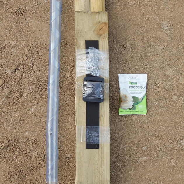 Tree Planting Kits For Small & Mature Trees | Ornamental Trees