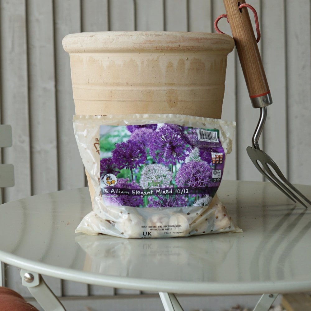Allium Elegant Bulb Mix