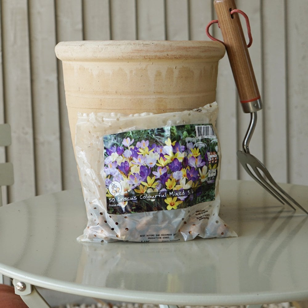 Crocus Colourful Bulb Mix