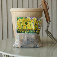Daffodil Small Cupped Bulb Mix