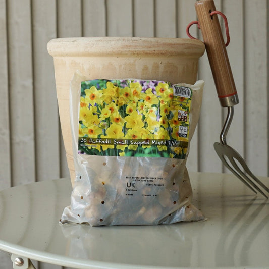 Daffodil Small Cupped Bulb Mix
