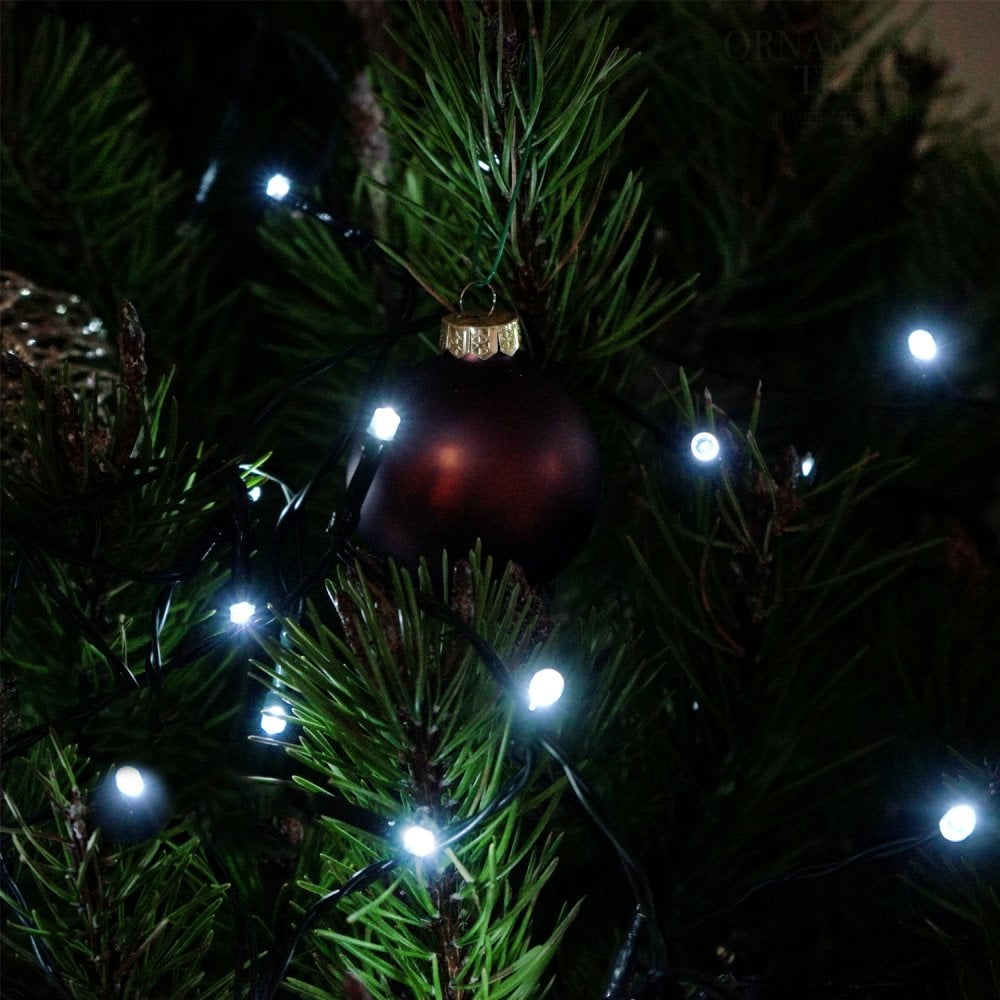 White fairy lights on tree