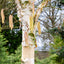 Betula albosinensis 'Fascination' Birch