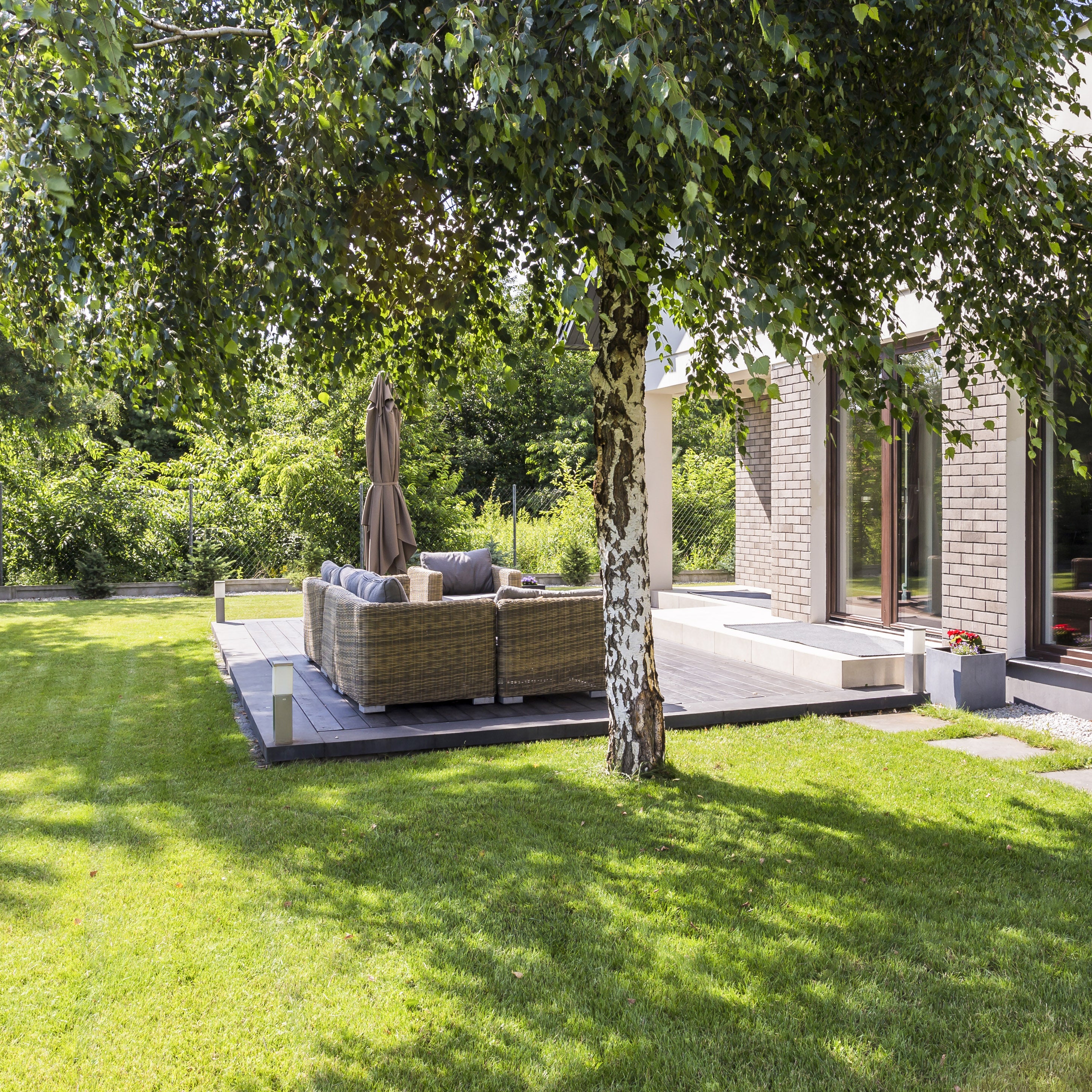 Impactful mature trees