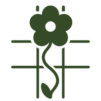 Wisteria sinensis 'Prolific' Tree