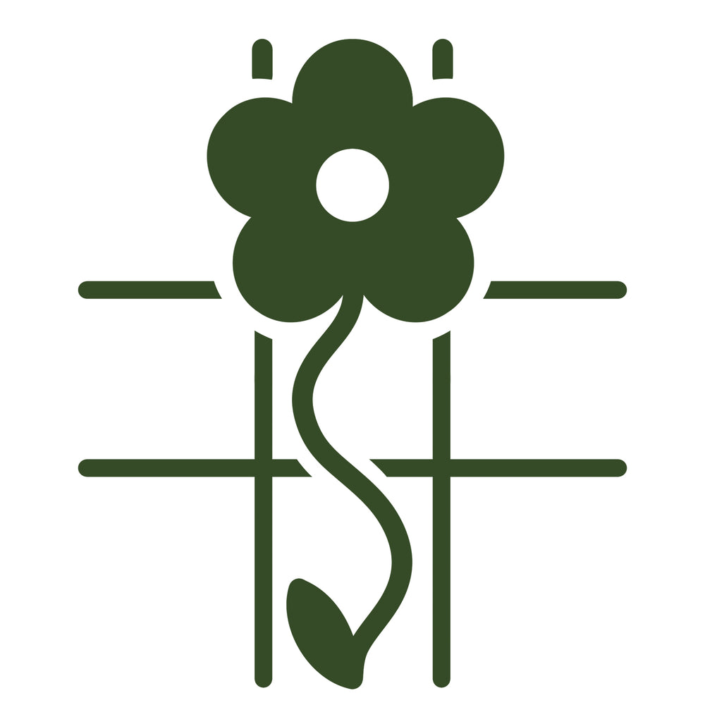 Wisteria sinensis 'Prolific' Tree