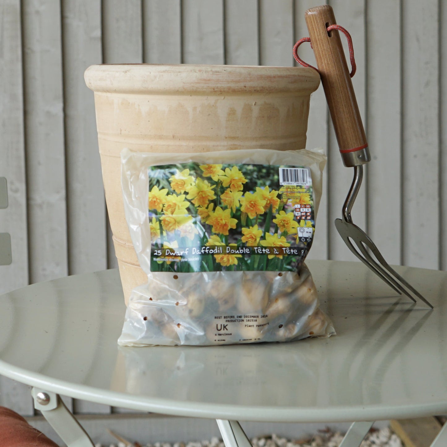 Dwarf Daffodil Double Tete a Tete Bulbs