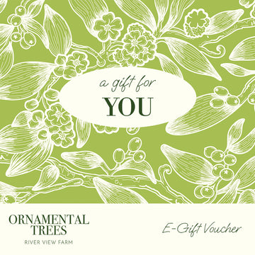 E-Gift Card