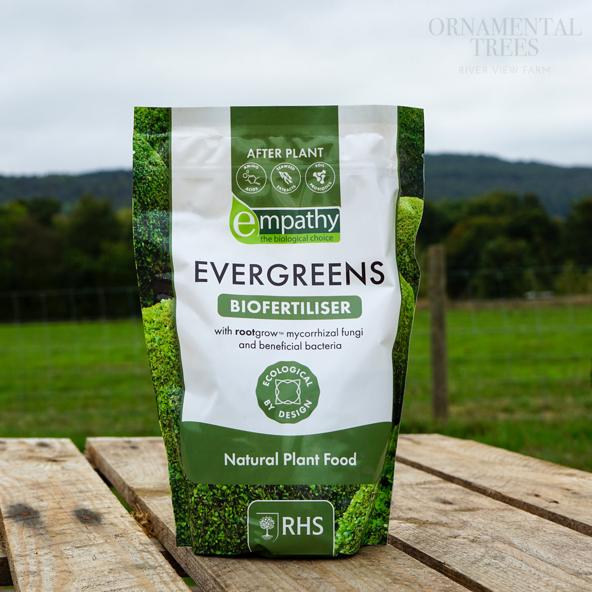 Empathy After Plant Fertiliser For Evergreens