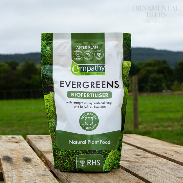 Empathy After Plant Fertiliser For Evergreens
