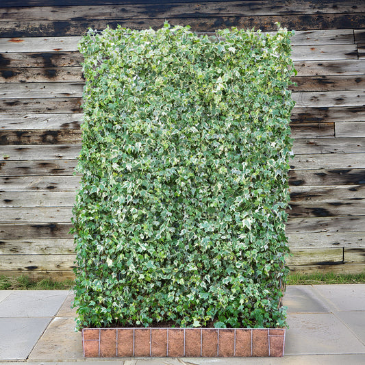 White Ripple Ivy Garden Screening
