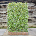 Panels 120cm width by 180cm height