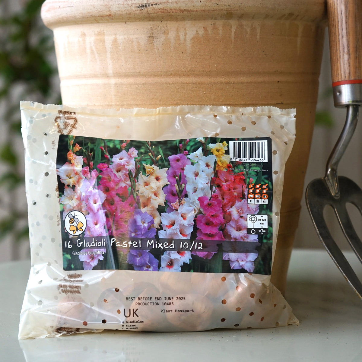 Shorna Bulb Packet Gladioli Pastel Bulbs Mix | Ornamental Trees