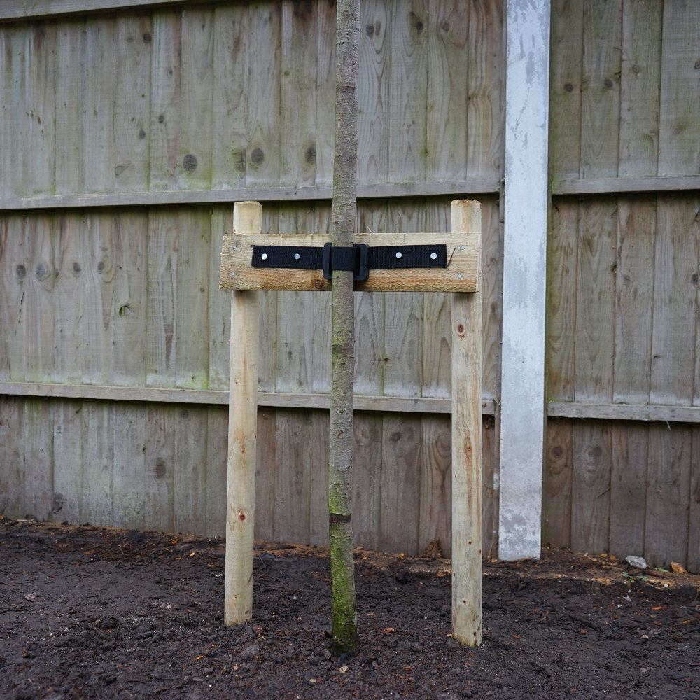 Large Tree Stake And Tie Kits | Planting Essentials | Ornamental Trees
