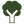 Mature tree icon