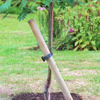 Tree Stake & Tie Kit