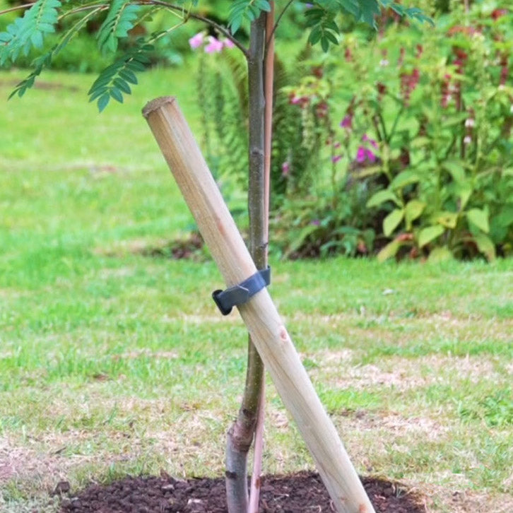 Tree Stake & Tie Kit