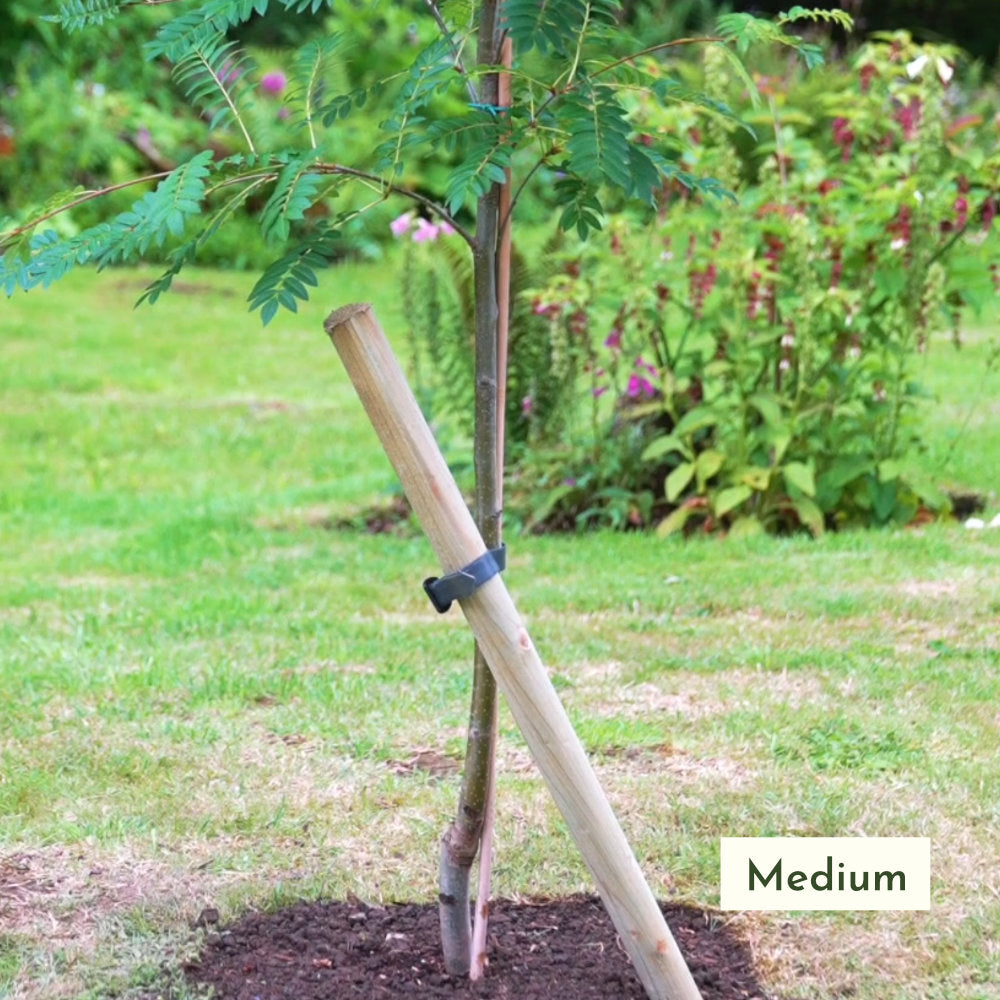 Medium Tree Stake And Tie Kit | Tree Planting | Ornamental Trees