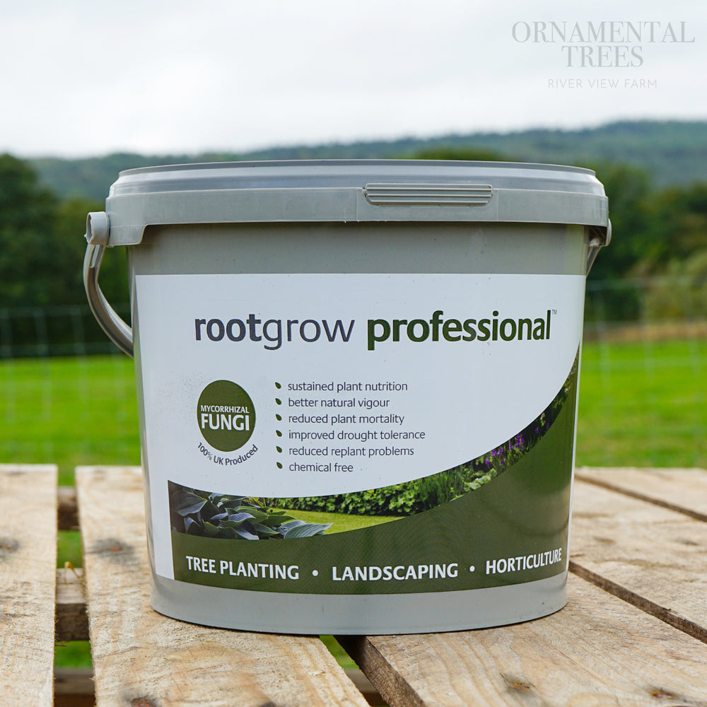 Rootgrow mycorrhizal fungi 5kg tub