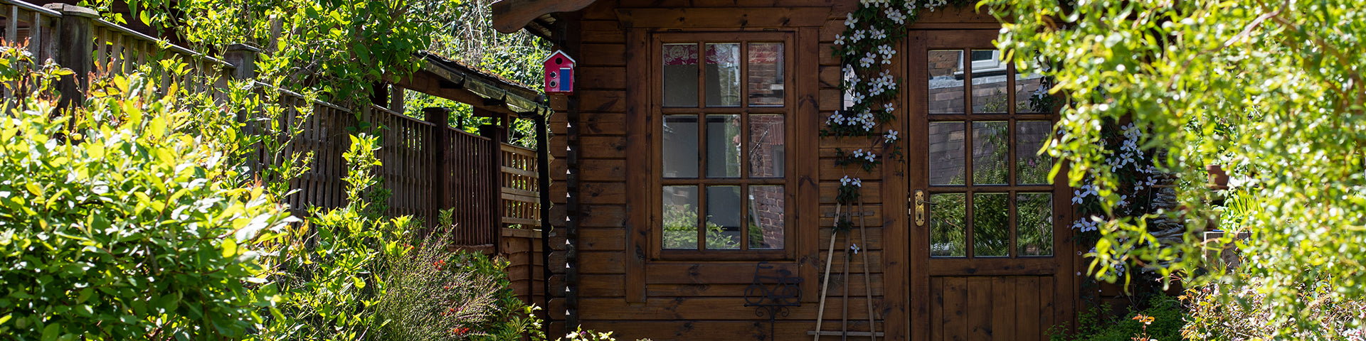 Small garden with trees, shrubs and shed