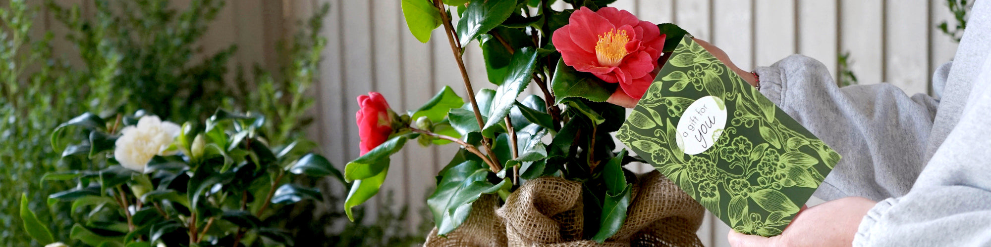 Mothers Day Gift Wrap