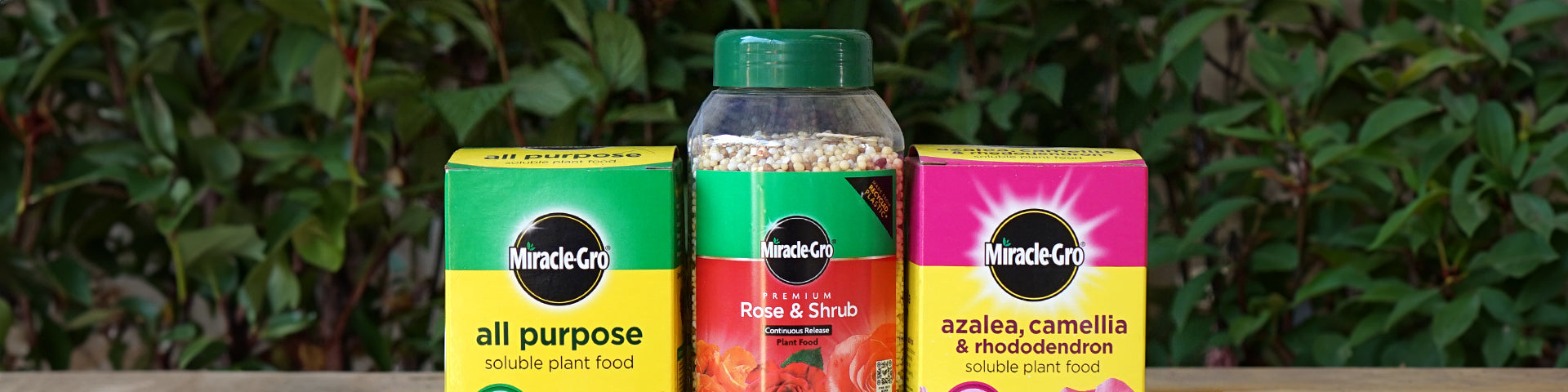 Planting feeds lined up