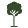 Single stem tree icon