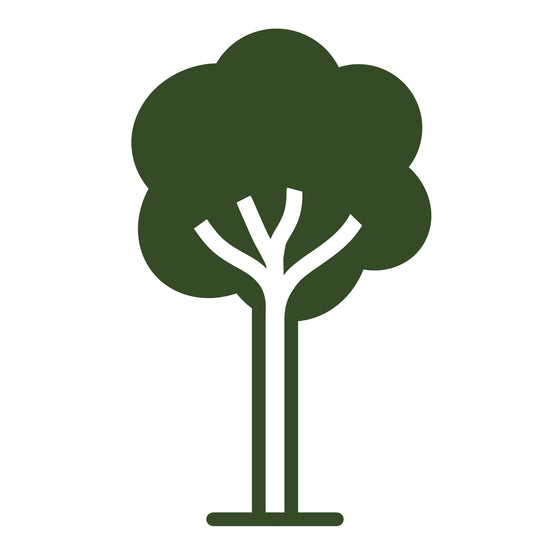 Acer campestre Streetwise | Buy Field Maple Trees | Ornamental Trees