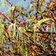 Acer palmatum Koto-no-ito Japanese Maple